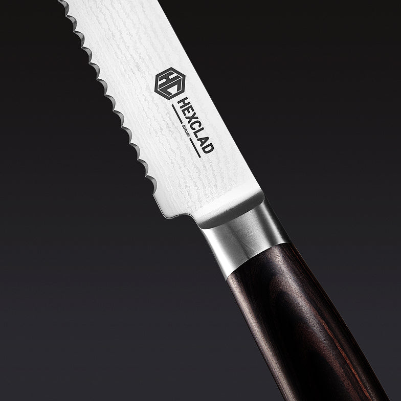 Damascus Steel 20 cm Serrated Bread Knife (Espresso)