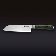Damascus Steel 18 cm Santoku Knife (Green)